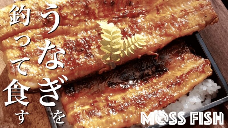 釣ったウナギでうな重ひつまぶしと白焼き！中川で釣ったウナギを捌く
