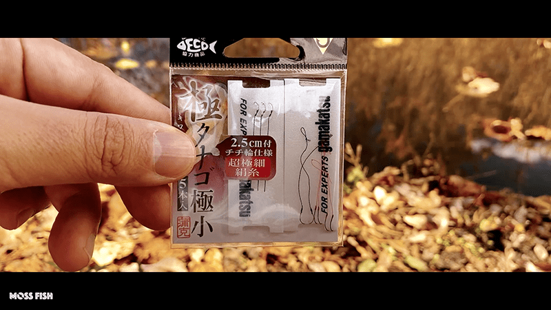 水元公園で小物釣り｜秋の東京でモロコ・モツゴ（クチボソ）と遊ぶ