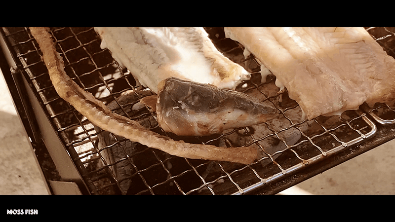 釣ったウナギでうな重ひつまぶしと白焼き！中川で釣ったウナギを捌く