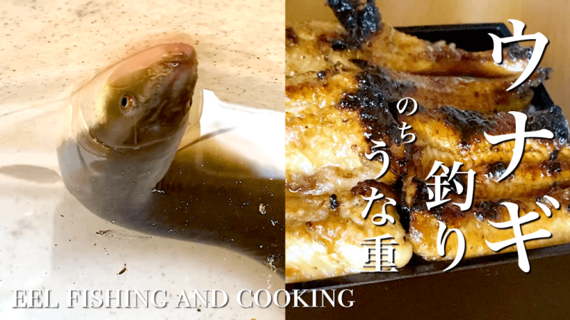 真冬のウナギ釣りでぶっとい鰻を釣る！脂がのった絶品うな重に