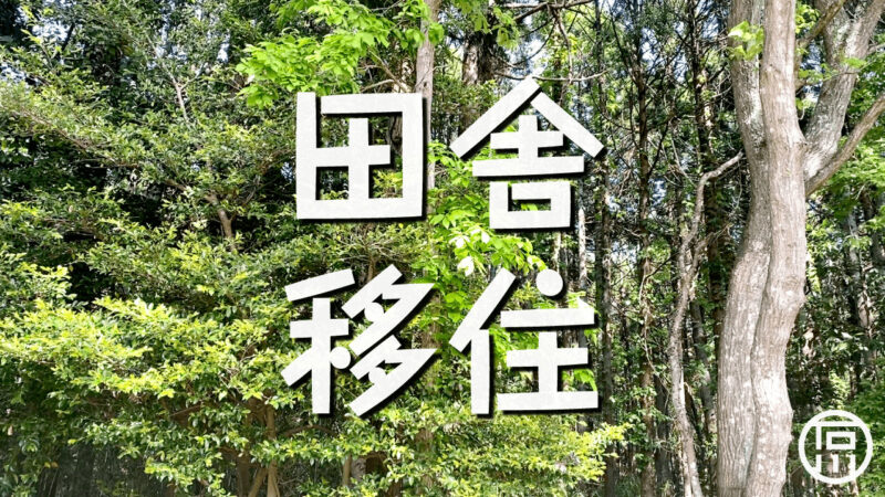 ほんのり田舎暮らし始めました｜移住｜焚火珈琲と蜂蜜パン｜カジュマル植樹