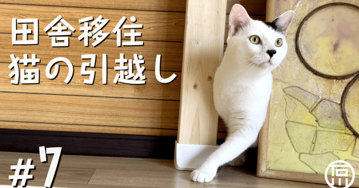東京からほんのり田舎へ愛猫と移住！キャットウォークをDIYして猫と暮らす