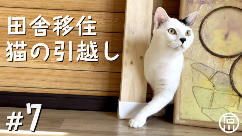 東京からほんのり田舎へ愛猫と移住！キャットウォークをDIYして猫と暮らす