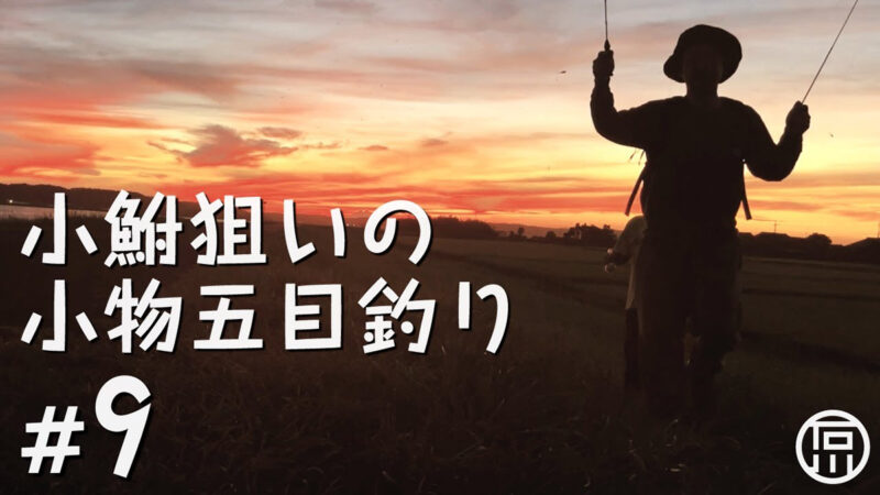 小鮒が釣りたい！タナゴ仕掛けを使い田んぼのホソで小物五目釣り