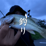 ブラックバス釣りはじめました｜霞ヶ浦水系初心者ブラックバス釣り
