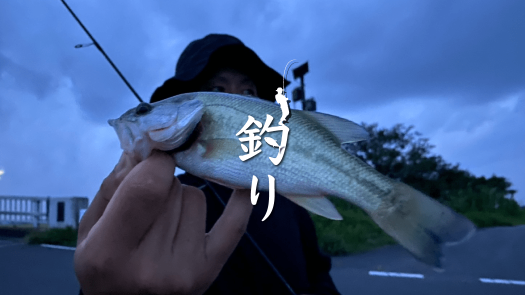 与田浦で初の40cmアップ！｜霞ヶ浦水系初心者ブラックバス釣り