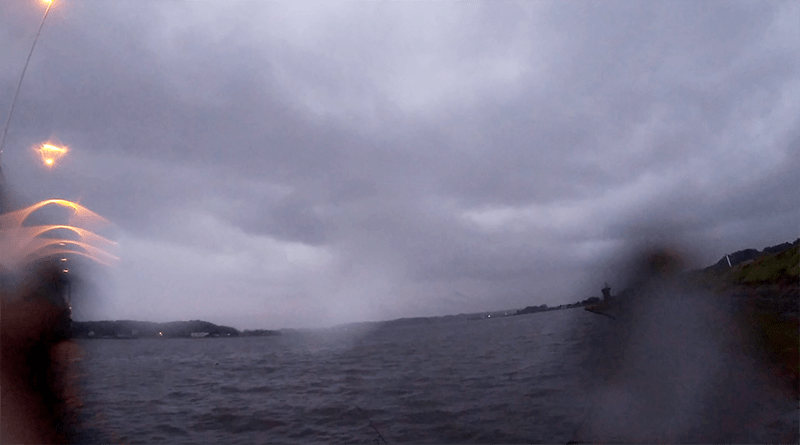 雨の中でガルバドッグウォーク一投目でがっぽし！｜霞ヶ浦水系シーバス釣り