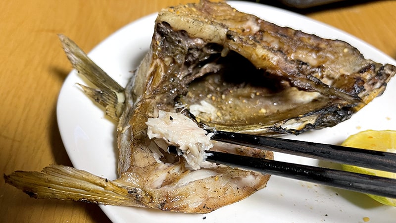 釣ったブリを食べまくる！刺身・カマ焼き・ブリ大根・ぶりしゃぶ…最高！！