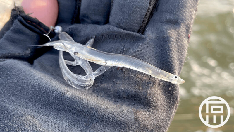 初春シラウオパターン狙うも一匹が遠すぎるバス釣り｜霞ヶ浦水系ブラックバス釣りブログ
