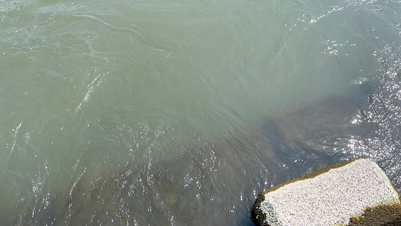 5月初旬スモールマウスバス釣り！鬼怒川でサイズ小さいもキャッチ