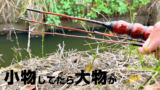 田んぼのホソでタナゴ仕掛けで釣りしていたら大物襲来に怯む｜自作竿で小物釣り【北浦】