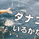 自作竿でタナゴを釣るのだ！北浦で11月下旬まったりポカポカ小物釣り