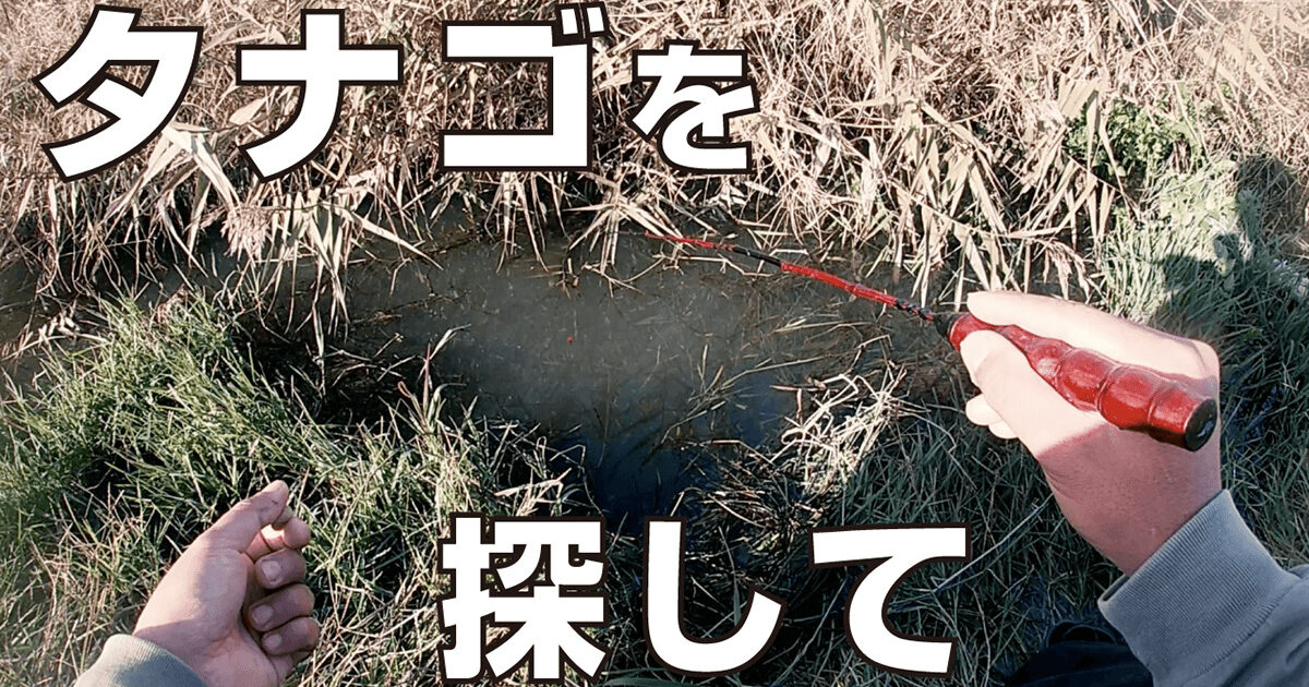 自作竿でタナゴを釣るのだ！北浦で11月下旬まったりポカポカ小物釣り