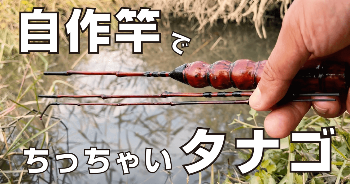 ちっちゃなタナゴを狙う小物釣り！12月上旬冬の北浦にて