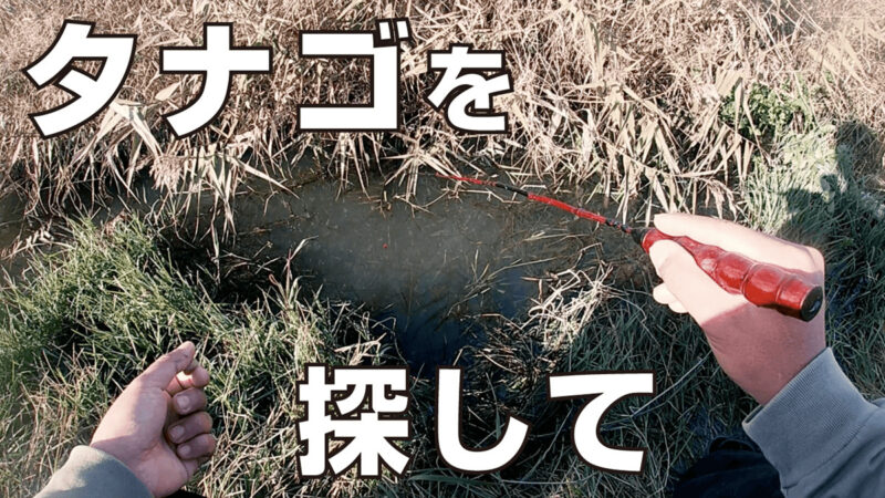 自作竿でタナゴを釣るのだ！北浦で11月下旬まったりポカポカ小物釣り