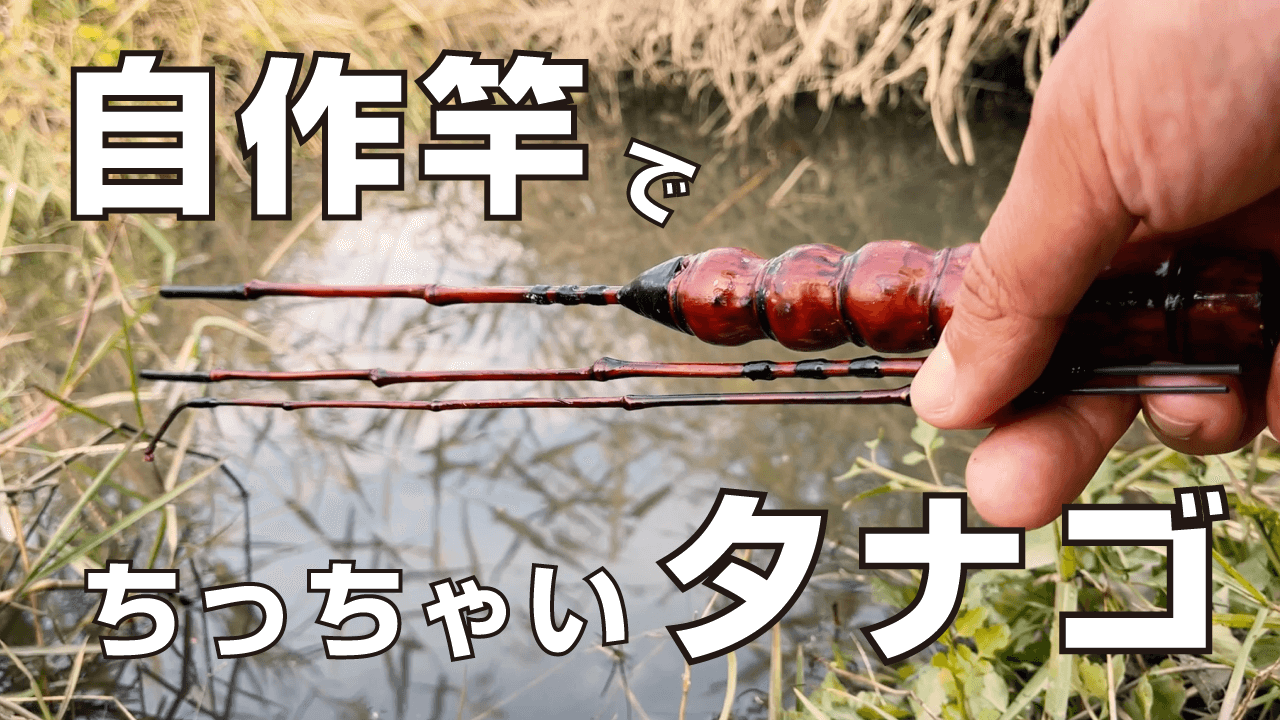 ちっちゃなタナゴを狙う小物釣り！12月上旬冬の北浦にて