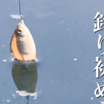 霞ヶ浦北浦でタナゴ釣り！1月冬の雨極寒の中での釣りからの小町山登頂