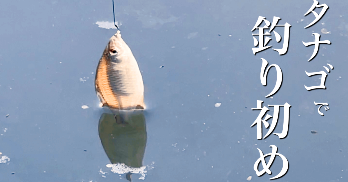 良型タナゴで淡水小物釣り初め！霞ヶ浦北浦で小物五目釣り