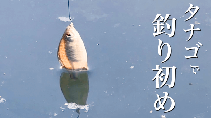 良型タナゴで淡水小物釣り初め！霞ヶ浦北浦で小物五目釣り