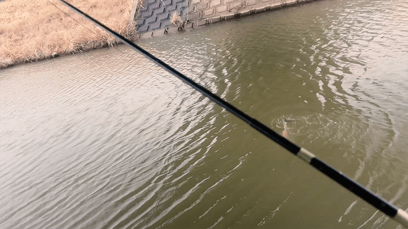 古いトウガラシウキで魚を釣る懐かしい釣り【霞ヶ浦 北浦】
