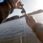 3月中旬の北浦でヘラブナ狙うも本命は釣れず…😮‍💨｜｜霞ヶ浦水系ヘラブナ野釣りブログ