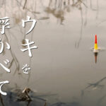 寒の戻りの雨で渋い中でのヘラブナ釣り｜｜霞ヶ浦水系ヘラブナ野釣りブログ