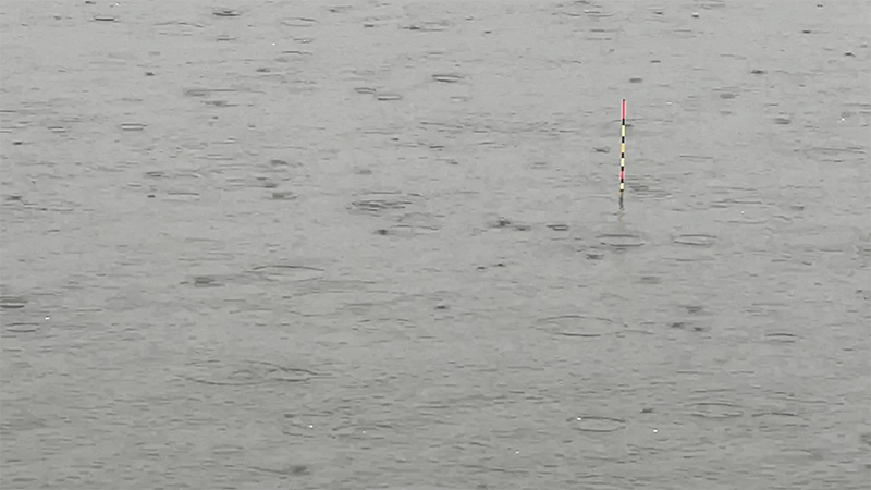 霞ヶ浦でヘラブナ釣り🎣 強風でデコったり雨の中で釣れたり｜霞ヶ浦水系ヘラブナ野釣りブログ