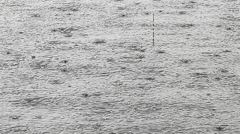 またもや雨の霞ヶ浦でヘラブナ釣り｜霞ヶ浦水系ヘラブナ野釣りブログ