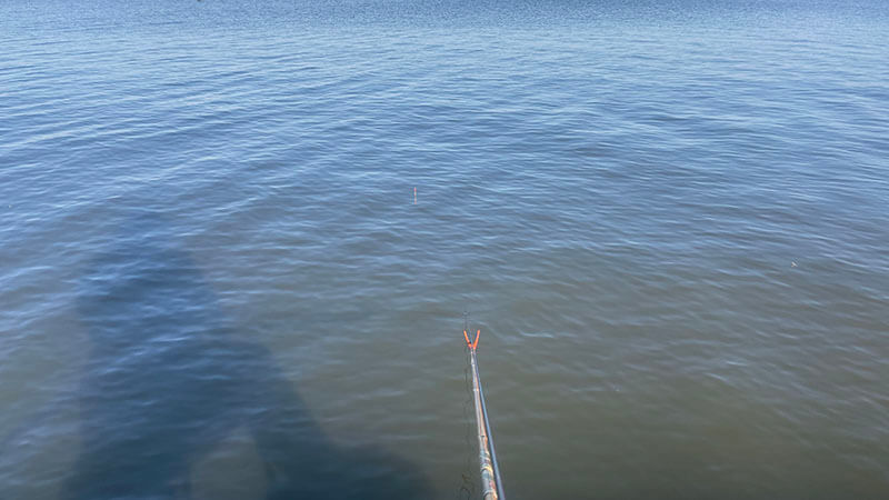 北浦・常陸利根川でデコ…霞ヶ浦でヘラブナも小型｜霞ヶ浦水系ヘラブナ野釣りブログ