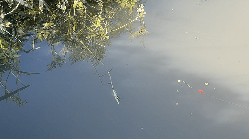 小鮒釣りはやっぱり面白い！北浦で小物釣り巡り【霞ヶ浦 北浦】