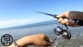 淡水釣り釣魚写真図鑑｜湖や川で釣れる淡水魚の種類