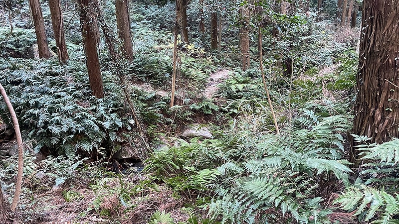 宝篋山（ほうきょうさん）｜ハイキングにおすすめの里山【茨城県】