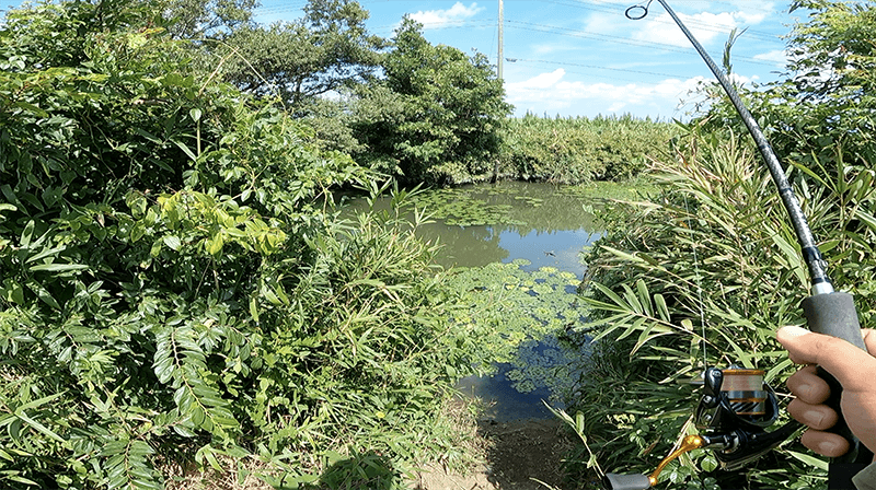 水が悪すぎて心配…霞ヶ浦水系ブラックバス釣り【9月中旬】