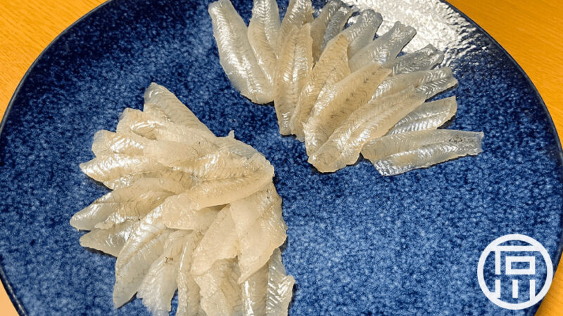 涸沼でハゼ釣り！ハゼを釣って刺身にして食べたら絶品だった件。