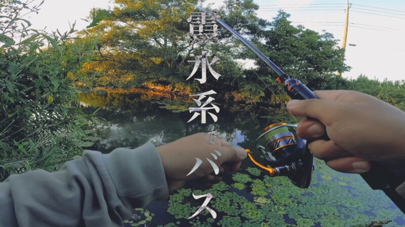 水が悪すぎて心配…霞ヶ浦水系ブラックバス釣り【9月中旬】