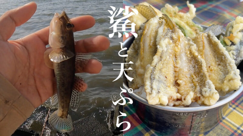 【涸沼】ハゼを延べ竿で釣る！揚げたてハゼ天ぷらで優勝。