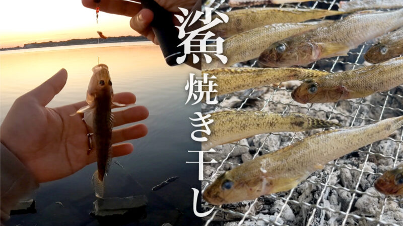 涸沼でハゼ延べ竿釣り！マハゼの焼き干し湯豆腐＆骨酒が旨すぎた件