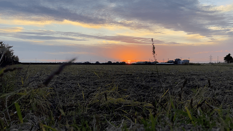 小鮒が釣れた！用水路を繋ぐ四角い水溜りで小物釣り