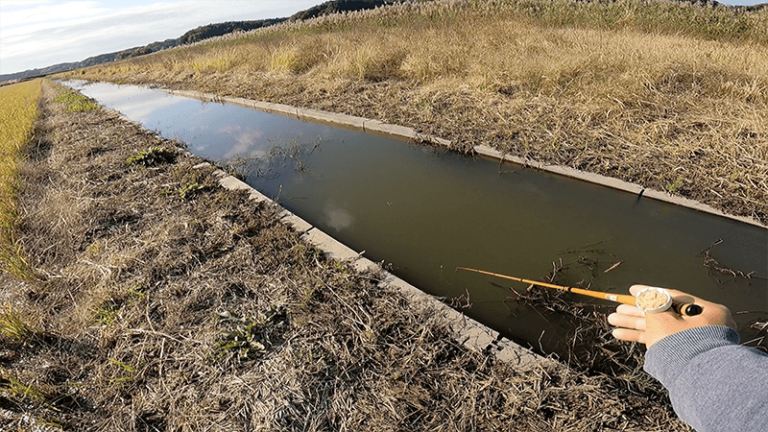 小鮒を求めて小物釣り!水路でのんびりたまにタナゴ【北浦】