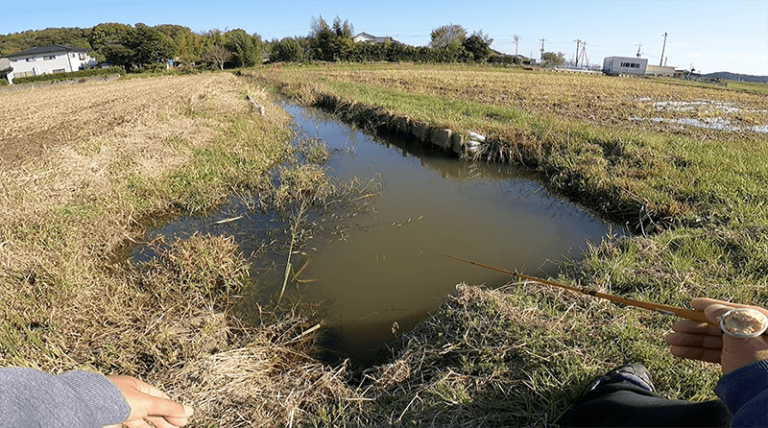 小鮒を求めて小物釣り!水路でのんびりたまにタナゴ【北浦】