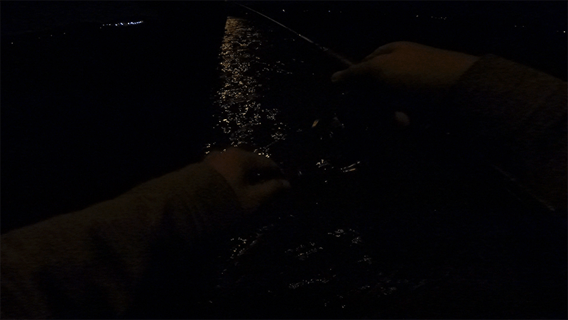 夜にふらりとシーバス釣りも厳しい一匹【11月末 北浦】