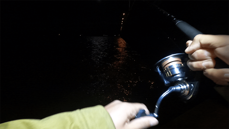 夜にふらりとシーバス釣りも厳しい一匹【11月末 北浦】