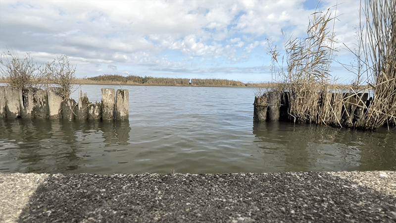 ヘラブナ釣りに行ったら五目釣りに早変わり（笑）【千葉県 黒部川 12月中旬】