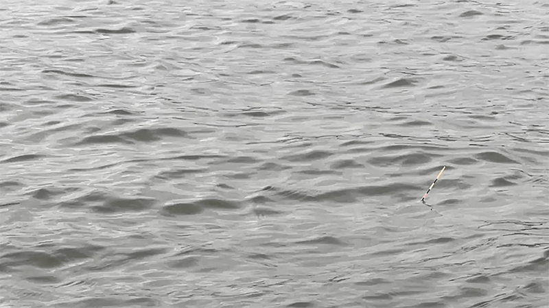 黒部川でヘラブナ野釣り！ノーピクからの終盤に尺上が…【12月中旬冬】