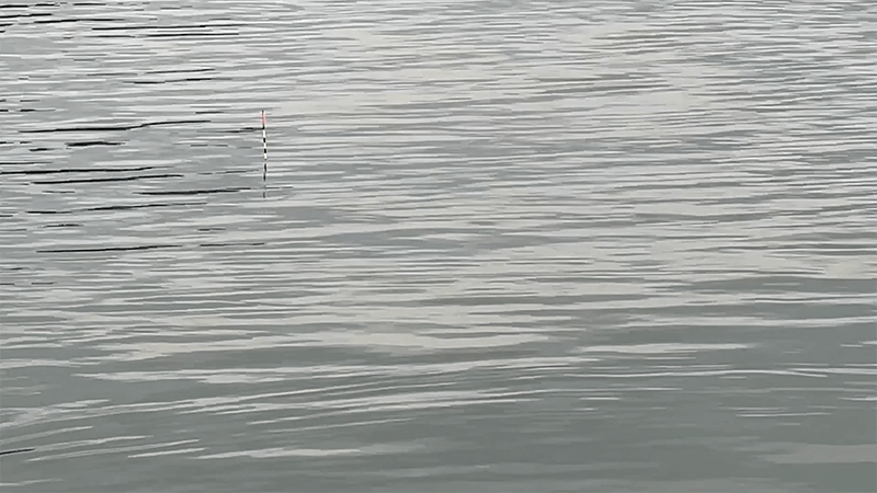 霞ヶ浦・北浦・黒部川でヘラブナ野釣りな4日間｜デコ×3後に粘って40上が…！【1月 冬】