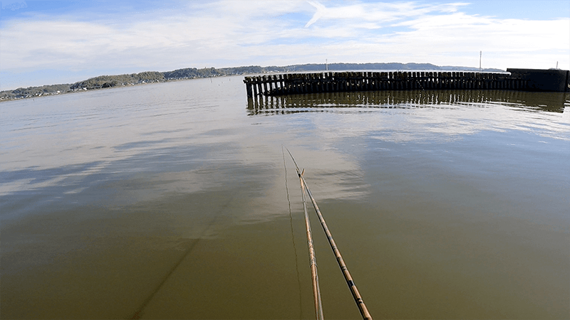北浦で尺半が近づいた日｜霞ヶ浦水系ヘラブナ野釣り【1月中旬冬】