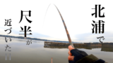 北浦でヘラブナ狙いの釣りも良型マブナ【霞ヶ浦水系 2月初旬冬】