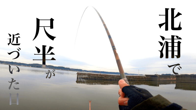 北浦で尺半が近づいた日｜霞ヶ浦水系ヘラブナ野釣り【1月中旬冬】