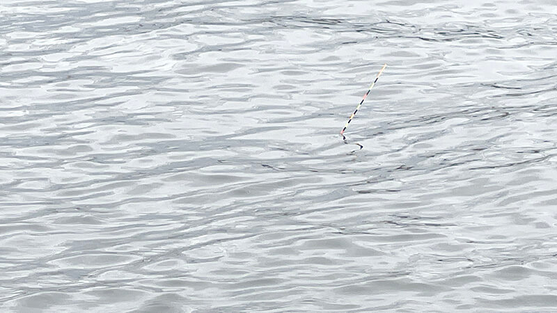 BUNNY WALKのウキ釣り向け偏光サングラスが釣りにオススメ【BW-0210C インプレ】