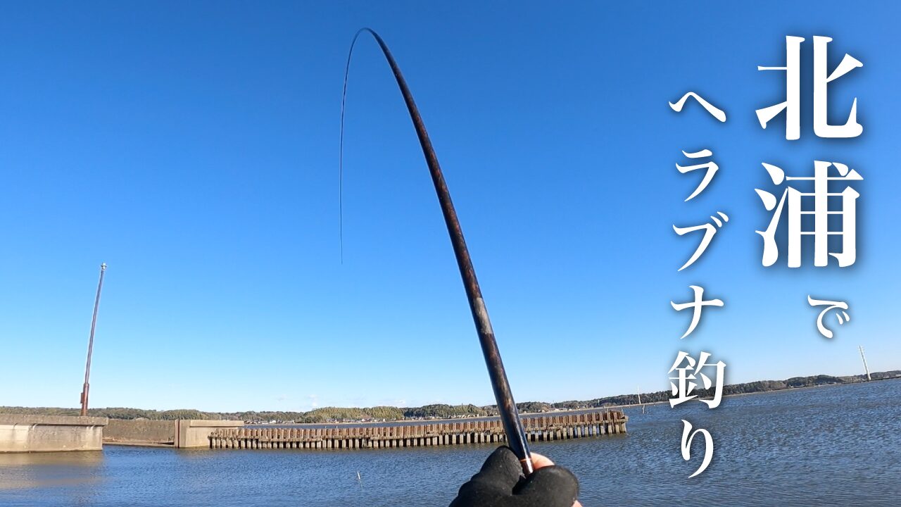 北浦で粘りの一匹なヘラブナ野釣り【霞ヶ浦水系 1月下旬冬】